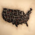 Stop Usa 2019-Cenere, carbone e cera lacca su tavola-100x116 cm